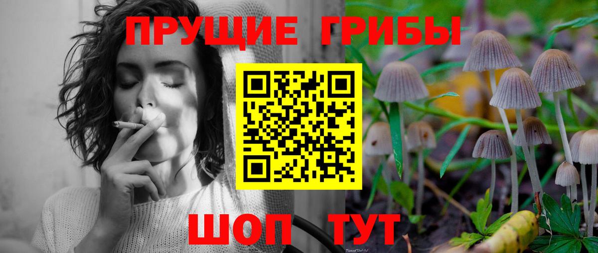 Галлюциногенные грибы GOLDEN TEACHER  Вход с VPN  Бахчисарай 