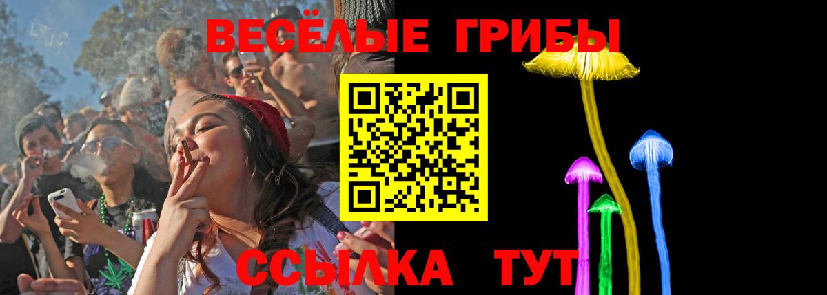 Псилоцибиновые грибы GOLDEN TEACHER Бахчисарай